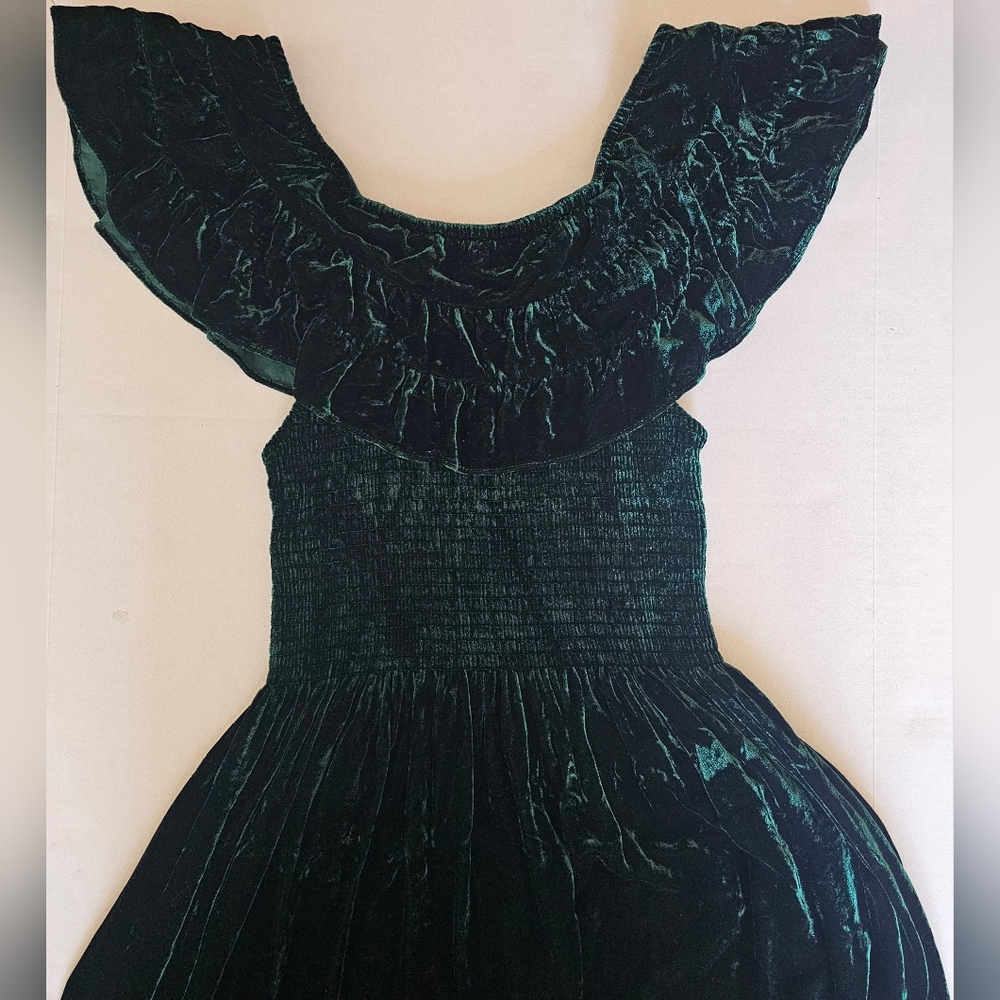 NWOT Hill House Emerald Green Velvet Silk Blend Nap Dress XS Quiet Luxury Moody - Picture 2 of 8